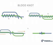 Image result for Blood Knot Fishing