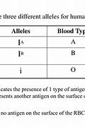 Image result for What Are Alleles