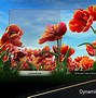 Image result for LG Flat Screen TV 43 Inch