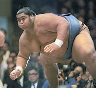 Image result for Biggest Sumo Wrestler of All Time