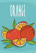 Image result for Orange Fruit Cut