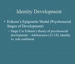 Image result for 3 Stages of Social Identity Theory
