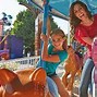 Image result for Chance Rides Carousel