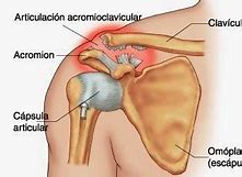 Image result for acromual
