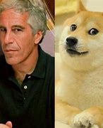 Image result for Mean Dog Meme