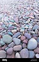Image result for Baby Pink and Purple Pebbles
