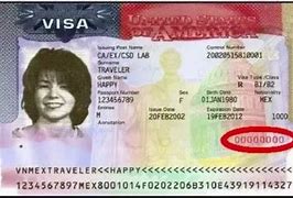 Image result for Nonimmigrant Visa