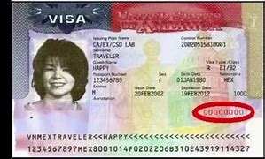 Image result for Nonimmigrant Visa