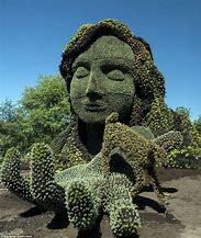 Image result for Columnar Cactus