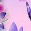 Image result for Pink Butterflies Aesthetic