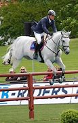 Image result for best five horses breed jump
