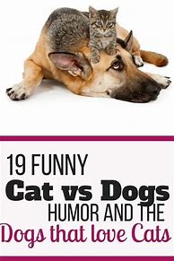 Image result for Cat Dog Funny Jokes