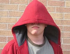 Image result for Kid with Mr. Beast Hoodie