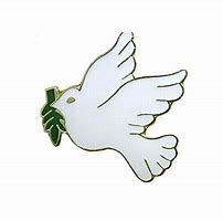 Image result for Dove Lapel Pin