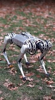 Image result for Cheetah Robot