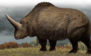 Image result for Giant Unicorn Rhino