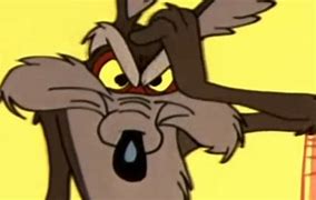 Image result for Wile E. Coyote Mean Head