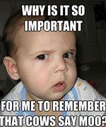 Image result for Kid with Funny Face Photo Meme