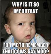 Image result for Funny Things Kids Said