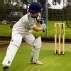 Image result for Cricket Stumps Bat and Ball