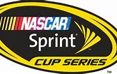 Image result for NASCAR Logo.png