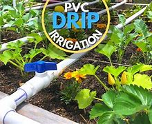Image result for DIY Garden Drip Irrigation