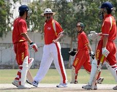 Image result for China Cricket