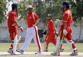 Image result for Cricket in Chinese
