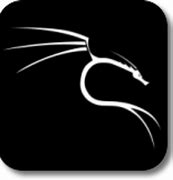 Image result for Kali Linux Folder Icon