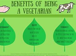 Image result for Pros of Being Vegetarian