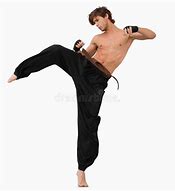 Image result for Martial Arts Kick