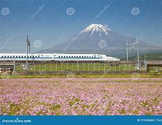 Image result for Tokaido Line