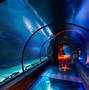 Image result for Deep Sea Underwater Picture Wallpaper