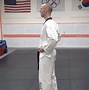 Image result for The Best Martial Arts Stance