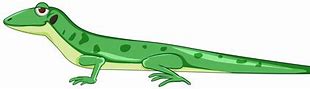 Image result for Fat Lizard Cartoon