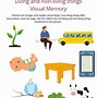 Image result for Visual Memory Activities
