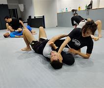 Image result for Jiu Jitsu Grappling