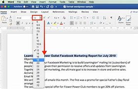 Image result for Type of Text Microsoft Word