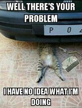 Image result for Cat Mechanic Meme