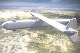 Image result for Harpy Drone