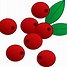 Image result for Berry Branch Clip Art