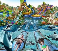 Image result for alquitica