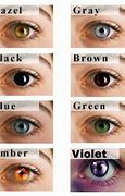 Image result for Eye Color Variations