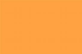 Image result for Neon Orange Color