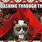 Image result for Happy New Year Grumpy Cat Meme