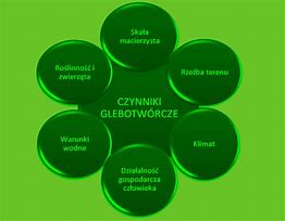 Image result for czynniki_glebotwórcze