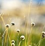 Image result for 1920X1080 HD Nature Wallpapers 4K