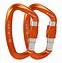 Image result for Camping Carabiner