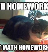 Image result for Cat Doing Math Meme