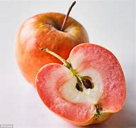 Image result for Soft Flesh Apple's
